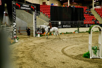 2025 - Haylee - Royal West - Saturday October 18th - 09114