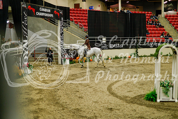 2025 - Haylee - Royal West - Saturday October 18th - 09114