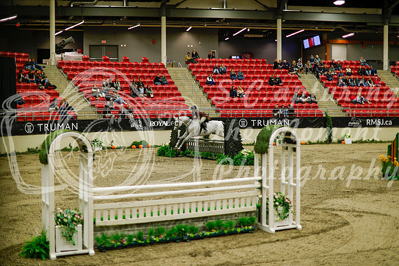 2025 - Haylee - Royal West - Saturday October 18th - 09113