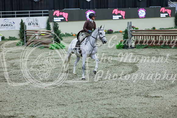 2025 - Shea - Royal West - Saturday October 18th - 07902