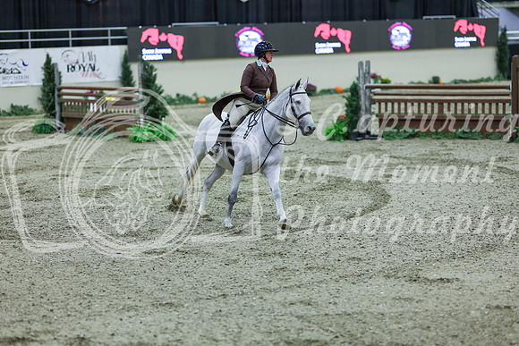 2025 - Shea - Royal West - Saturday October 18th - 07904