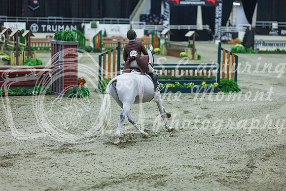 2025 - Shea - Royal West - Saturday October 18th - 07906