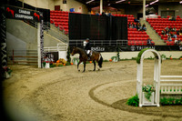 2025 - Haylee - Royal West - Saturday October 18th - 09037