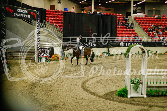 2025 - Haylee - Royal West - Saturday October 18th - 09037