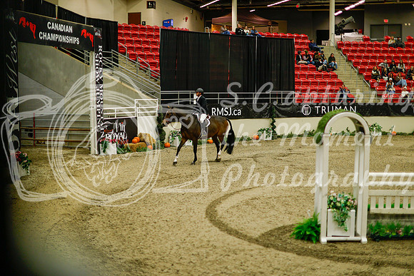 2025 - Haylee - Royal West - Saturday October 18th - 09038