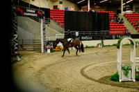 2025 - Haylee - Royal West - Saturday October 18th - 09039