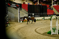 2025 - Haylee - Royal West - Saturday October 18th - 09040