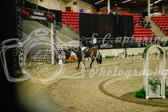 2025 - Haylee - Royal West - Saturday October 18th - 09040