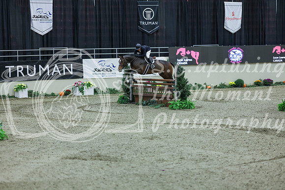 2025 - Shea - Royal West - Saturday October 18th - 07651