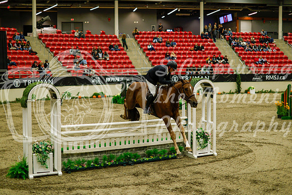 2025 - Haylee - Royal West - Saturday October 18th - 09197