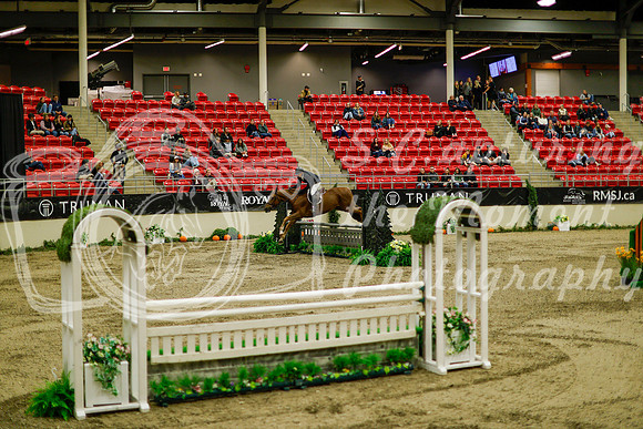 2025 - Haylee - Royal West - Saturday October 18th - 09202