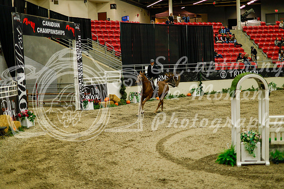 2025 - Haylee - Royal West - Saturday October 18th - 09204