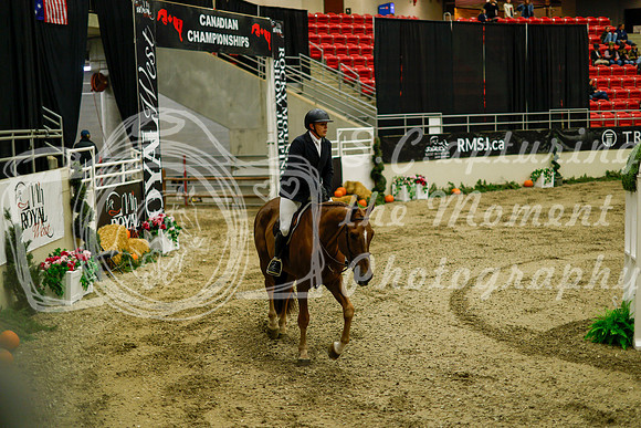 2025 - Haylee - Royal West - Saturday October 18th - 09207