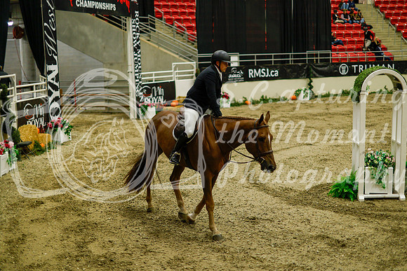 2025 - Haylee - Royal West - Saturday October 18th - 09210