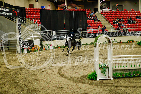 2025 - Haylee - Royal West - Saturday October 18th - 09165