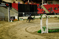 2025 - Haylee - Royal West - Saturday October 18th - 09166