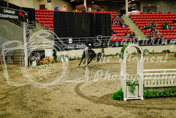 2025 - Haylee - Royal West - Saturday October 18th - 09166