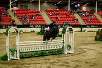 2025 - Haylee - Royal West - Saturday October 18th - 09171