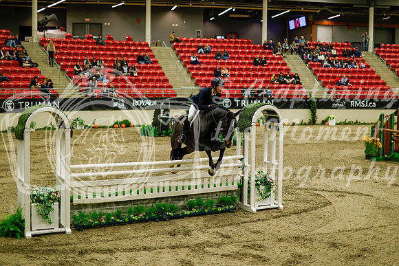 2025 - Haylee - Royal West - Saturday October 18th - 09172