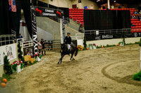 2025 - Haylee - Royal West - Saturday October 18th - 09179