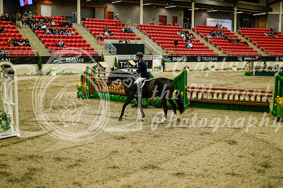 2025 - Haylee - Royal West - Saturday October 18th - 09184
