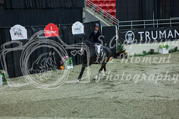 2025 - Shea - Royal West - Saturday October 18th - 08085