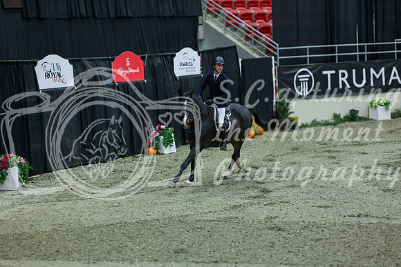 2025 - Shea - Royal West - Saturday October 18th - 08087