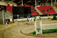 2025 - Haylee - Royal West - Saturday October 18th - 09142