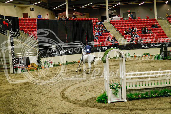 2025 - Haylee - Royal West - Saturday October 18th - 09142