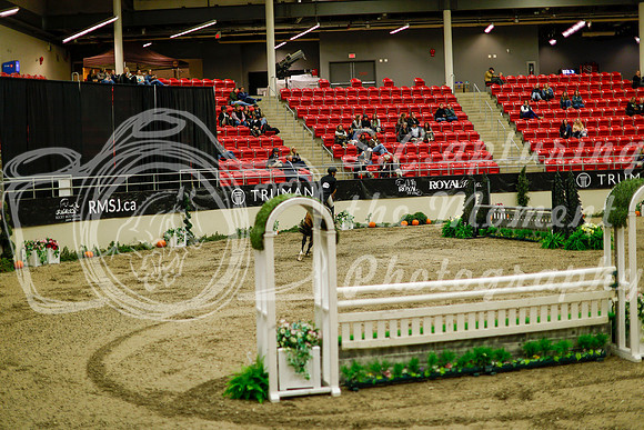 2025 - Haylee - Royal West - Saturday October 18th - 09121