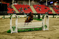 2025 - Haylee - Royal West - Saturday October 18th - 09122