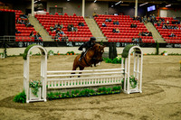 2025 - Haylee - Royal West - Saturday October 18th - 09123