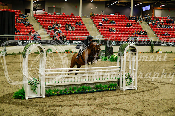 2025 - Haylee - Royal West - Saturday October 18th - 09123