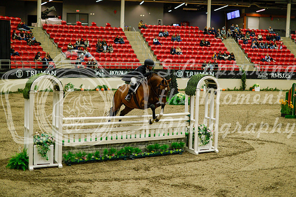 2025 - Haylee - Royal West - Saturday October 18th - 09124