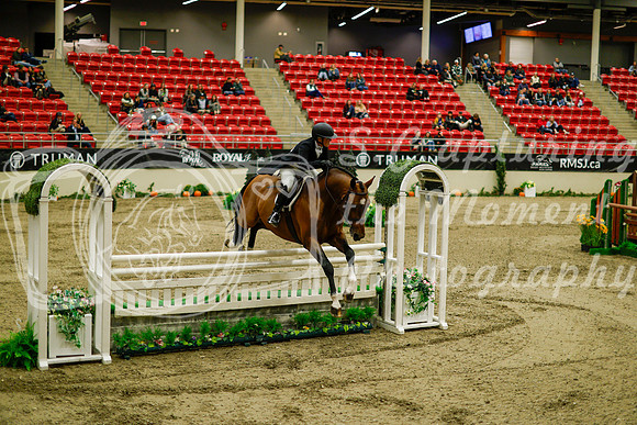 2025 - Haylee - Royal West - Saturday October 18th - 09125
