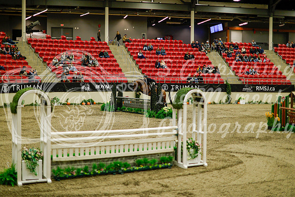 2025 - Haylee - Royal West - Saturday October 18th - 09127