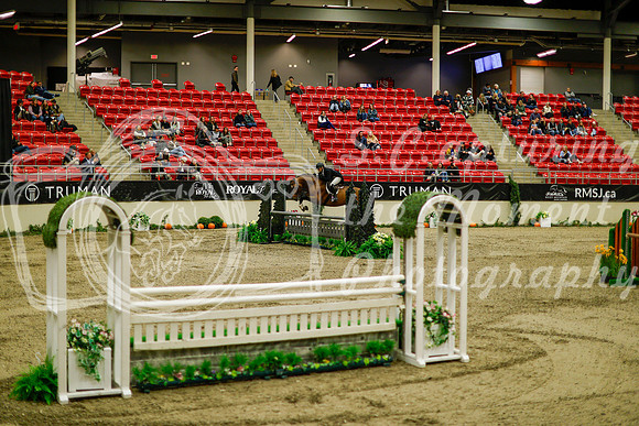 2025 - Haylee - Royal West - Saturday October 18th - 09128