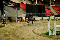2025 - Haylee - Royal West - Saturday October 18th - 09131