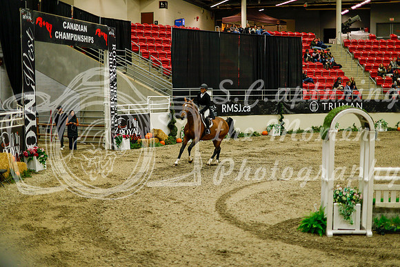 2025 - Haylee - Royal West - Saturday October 18th - 09131