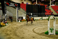 2025 - Haylee - Royal West - Saturday October 18th - 09132