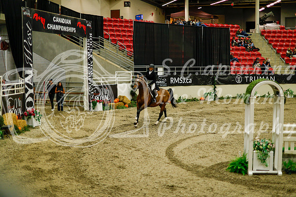 2025 - Haylee - Royal West - Saturday October 18th - 09132
