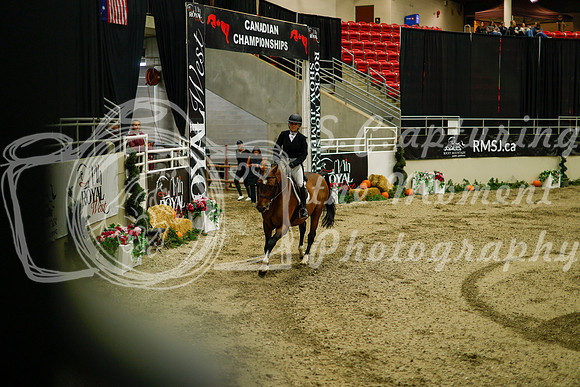 2025 - Haylee - Royal West - Saturday October 18th - 09133