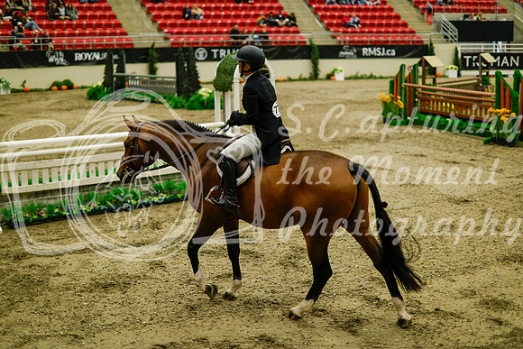 2025 - Haylee - Royal West - Saturday October 18th - 09135
