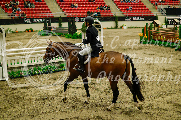 2025 - Haylee - Royal West - Saturday October 18th - 09136