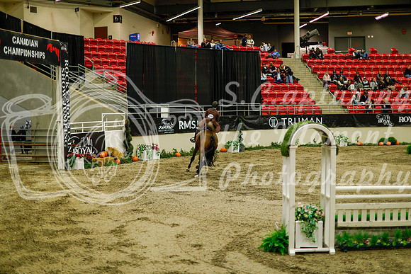 2025 - Haylee - Royal West - Saturday October 18th - 08833