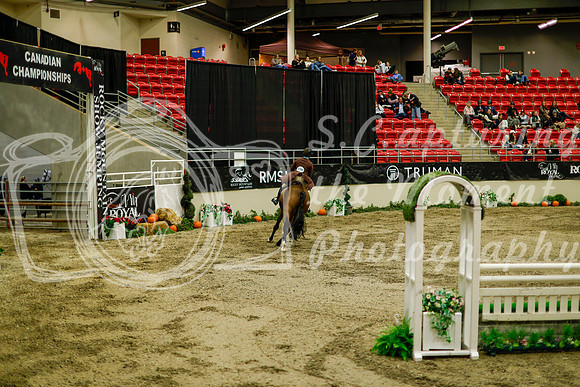 2025 - Haylee - Royal West - Saturday October 18th - 08834