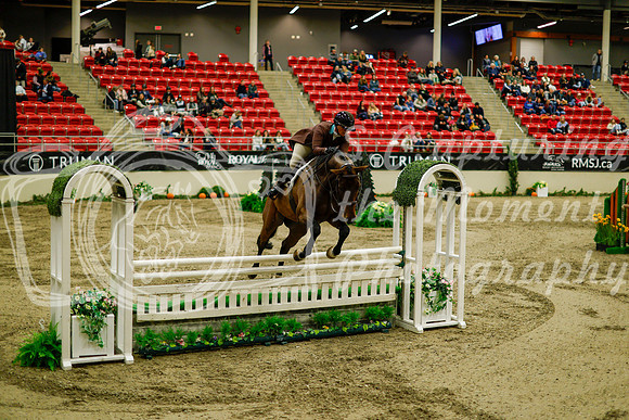 2025 - Haylee - Royal West - Saturday October 18th - 08836