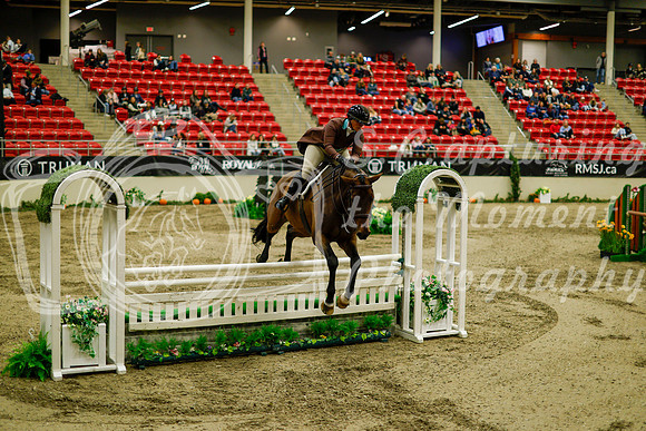 2025 - Haylee - Royal West - Saturday October 18th - 08837