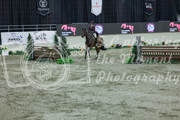2025 - Shea - Royal West - Saturday October 18th - 07089
