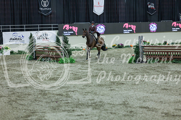 2025 - Shea - Royal West - Saturday October 18th - 07090